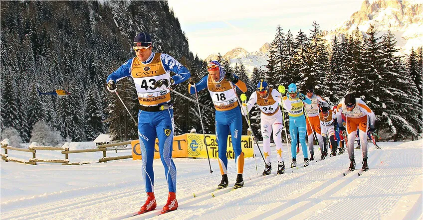 Cross-country skiers racing in the snow